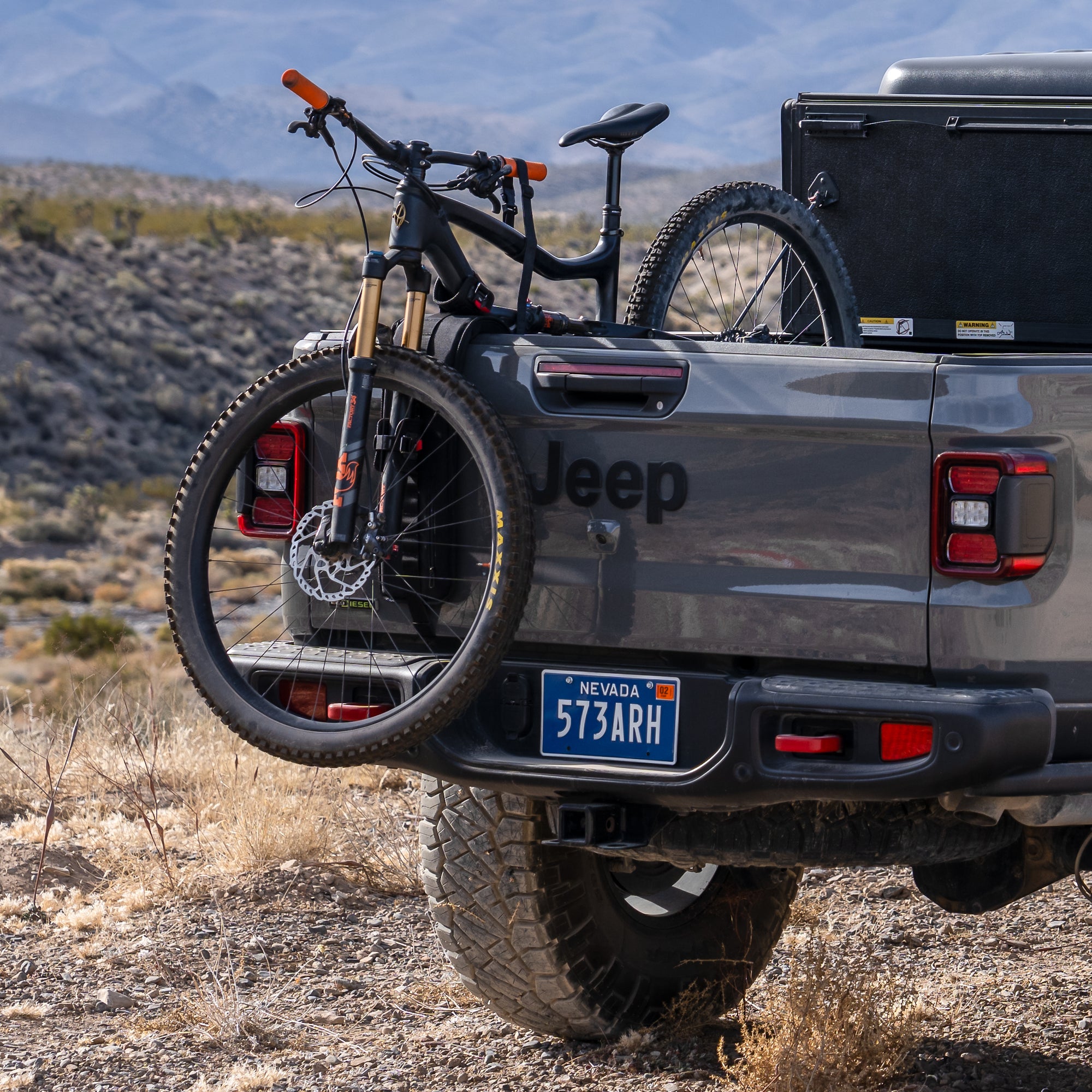 Bomber Strap Collection Featuring Limited Edition and Mega Styles in Classic Designs