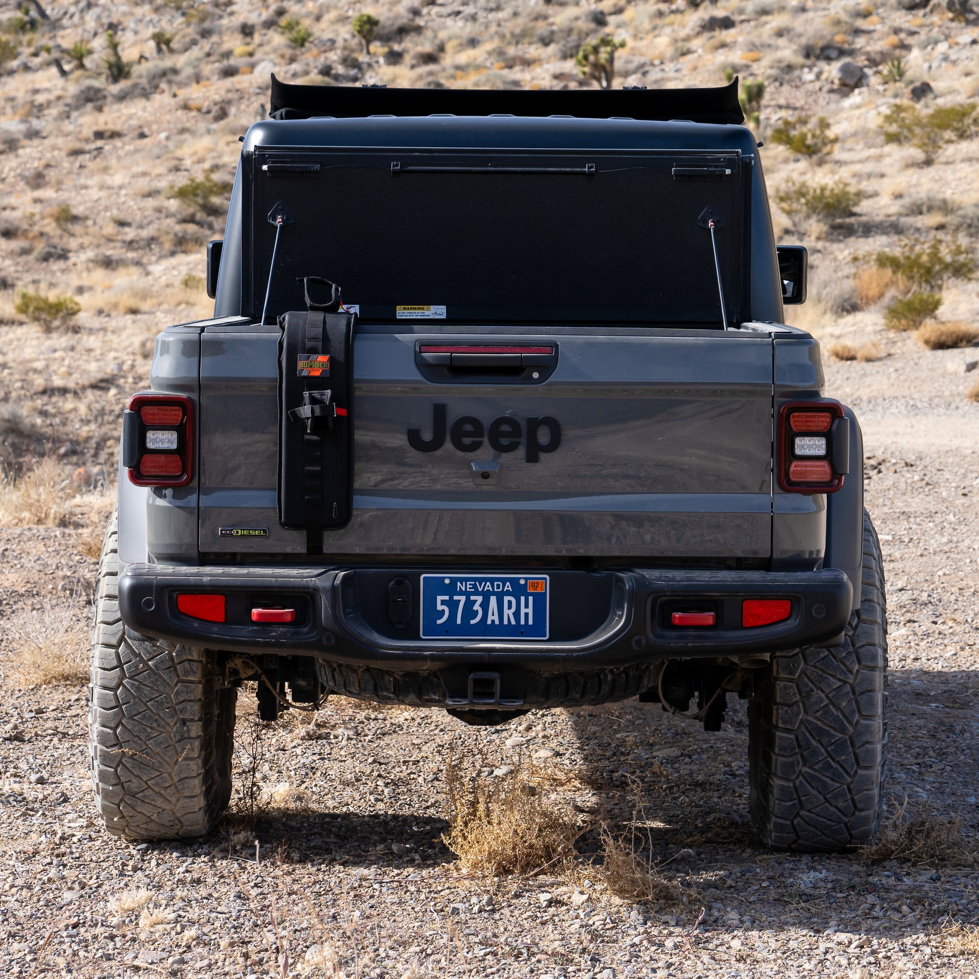 Bomber Strap Collection Featuring Limited Edition and Mega Styles in Classic Designs